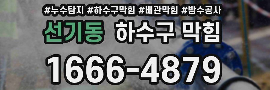 선기동 하수구 막힘