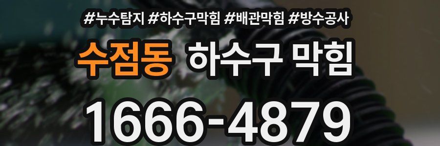 수점동 하수구 막힘