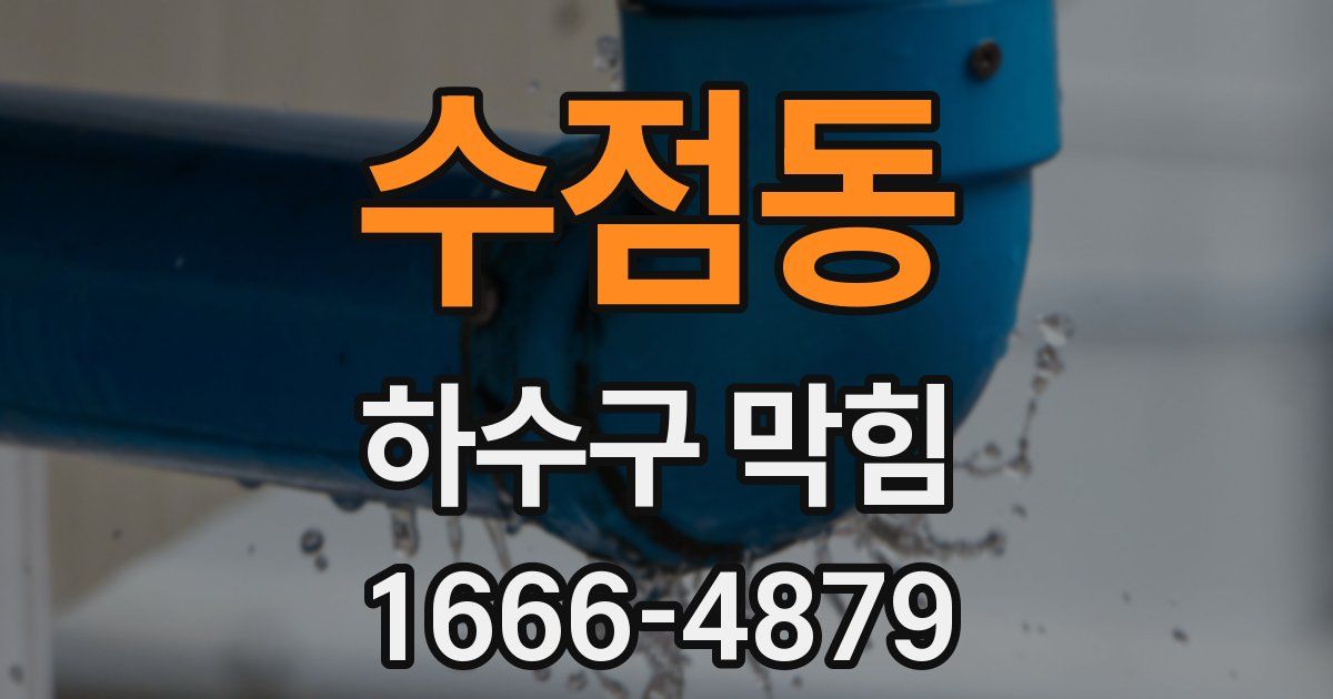 수점동 하수구 막힘