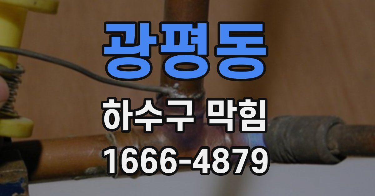 광평동 하수구 막힘