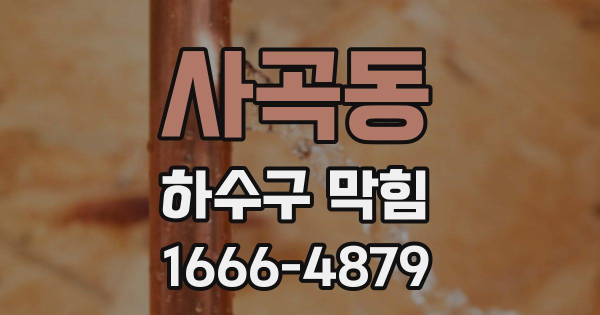사곡동 하수구 막힘