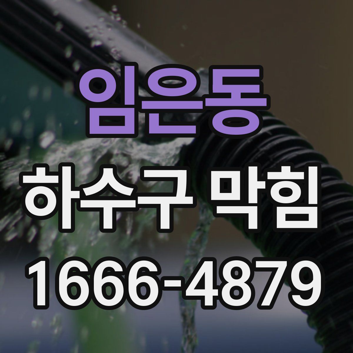 임은동 하수구 막힘