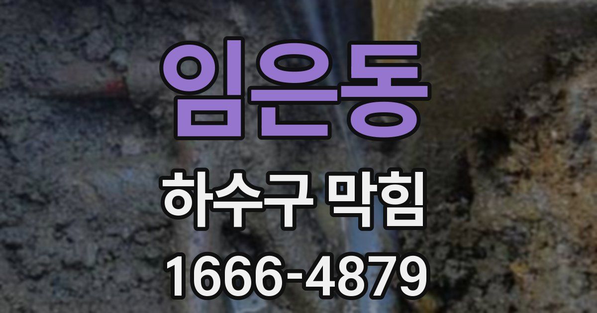 임은동 하수구 막힘