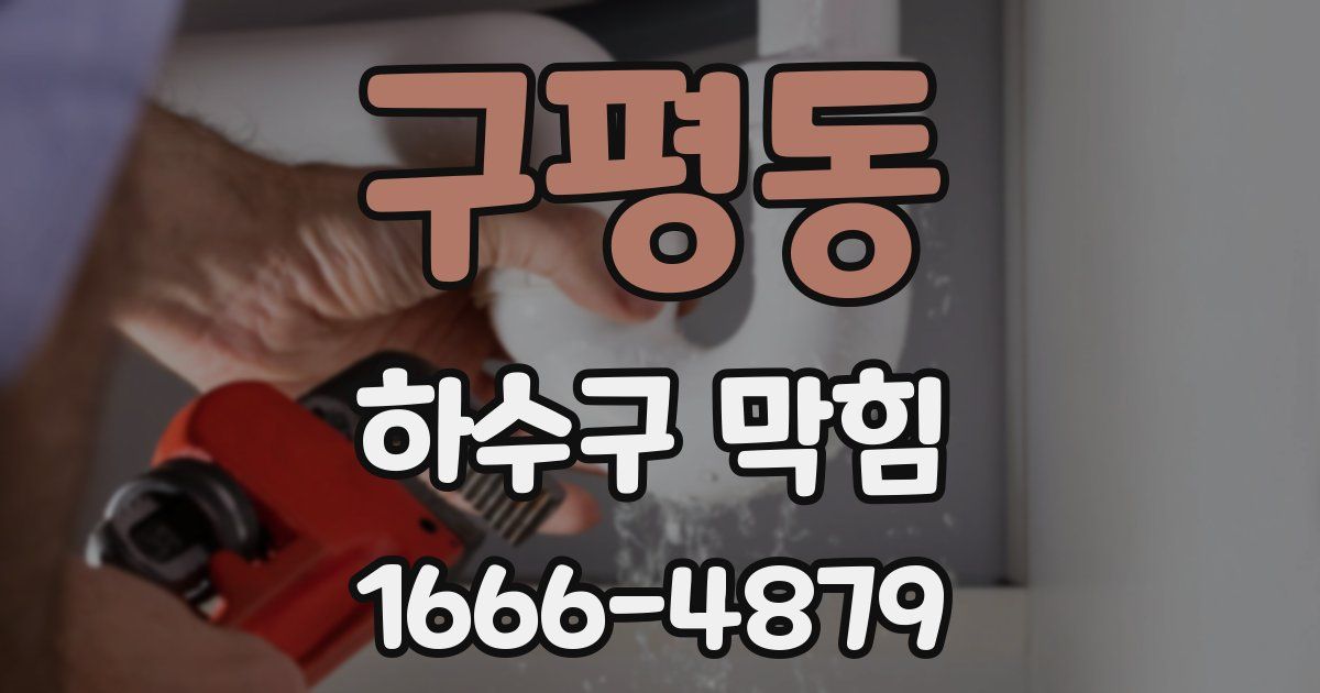 구평동 하수구 막힘