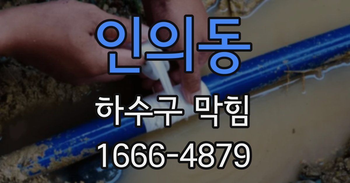 인의동 하수구 막힘
