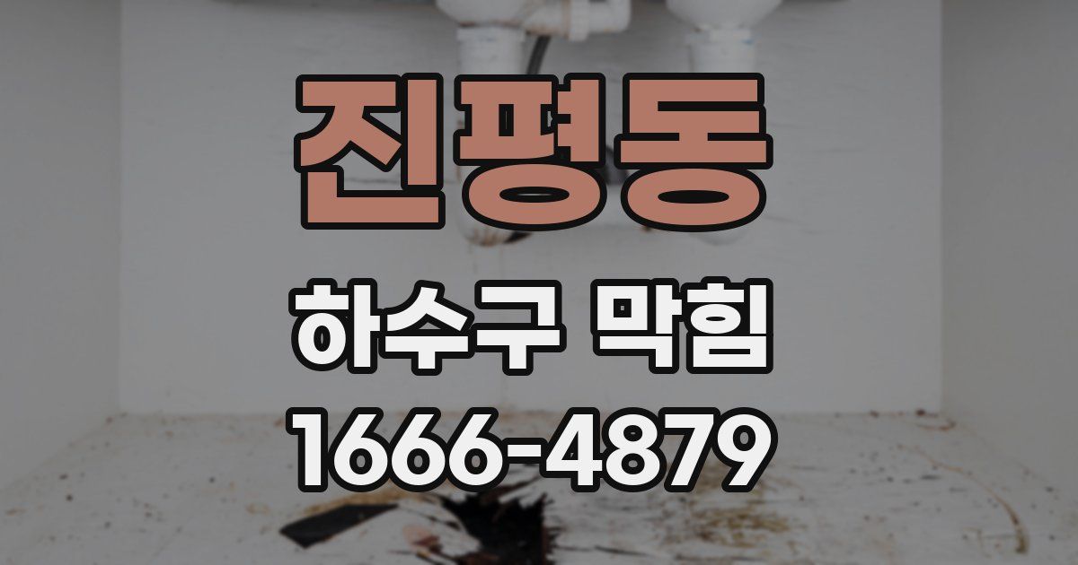 진평동 하수구 막힘