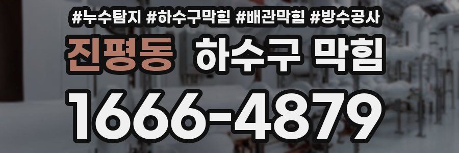 진평동 하수구 막힘