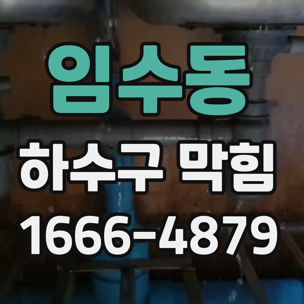 임수동 하수구 막힘