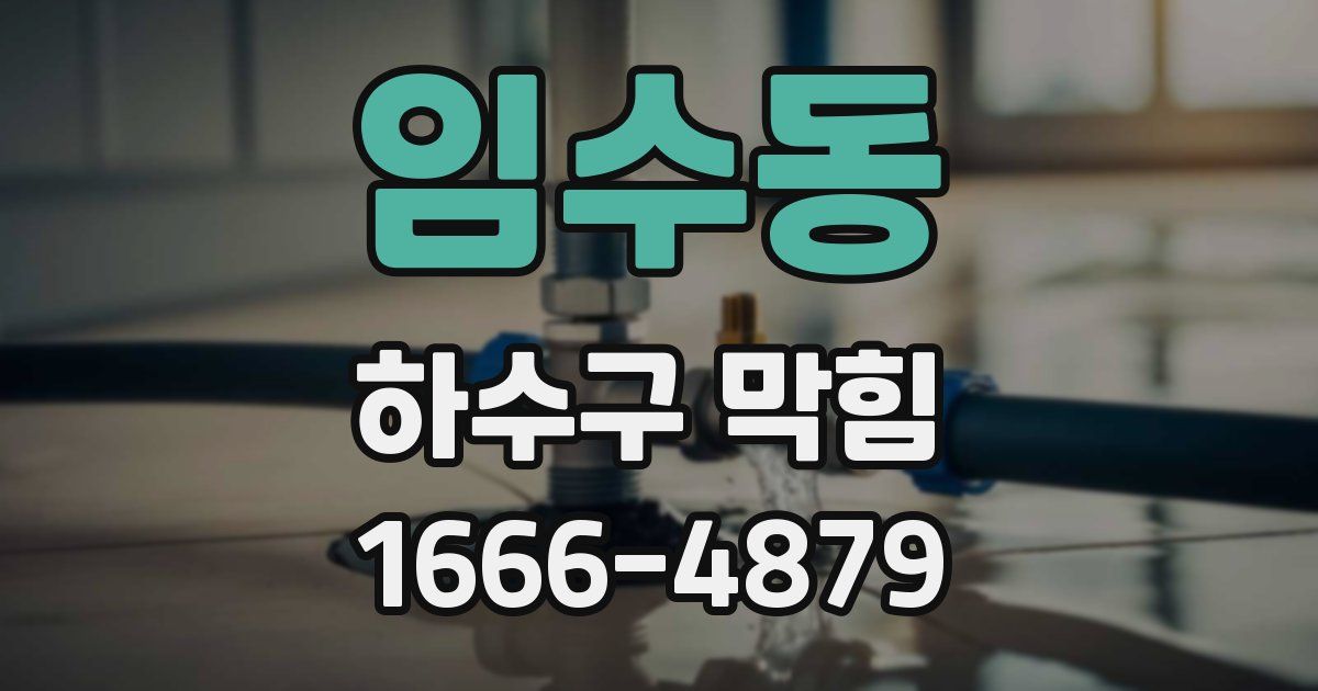 임수동 하수구 막힘