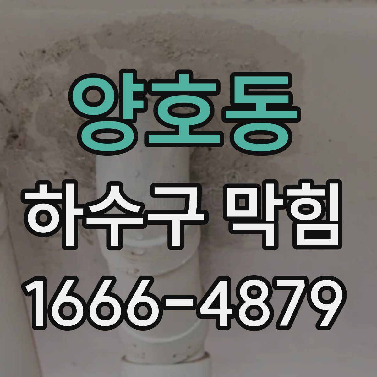 양호동 하수구 막힘