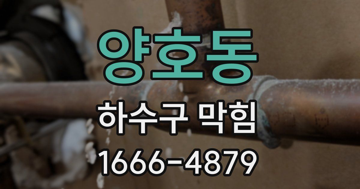 양호동 하수구 막힘