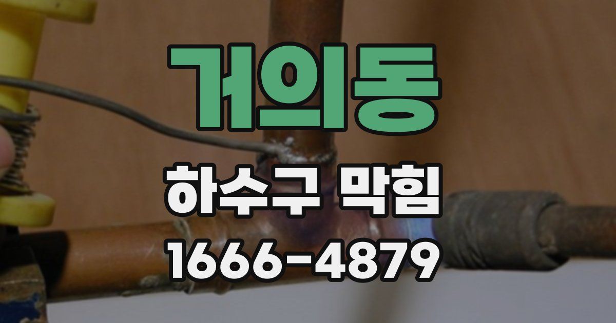 거의동 하수구 막힘