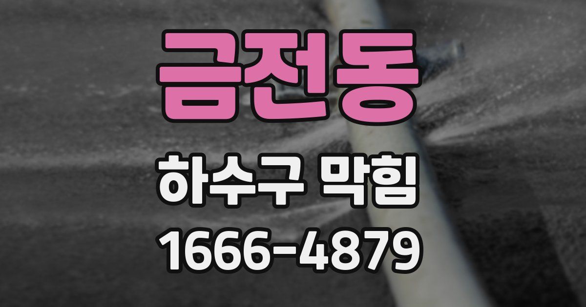 금전동 하수구 막힘