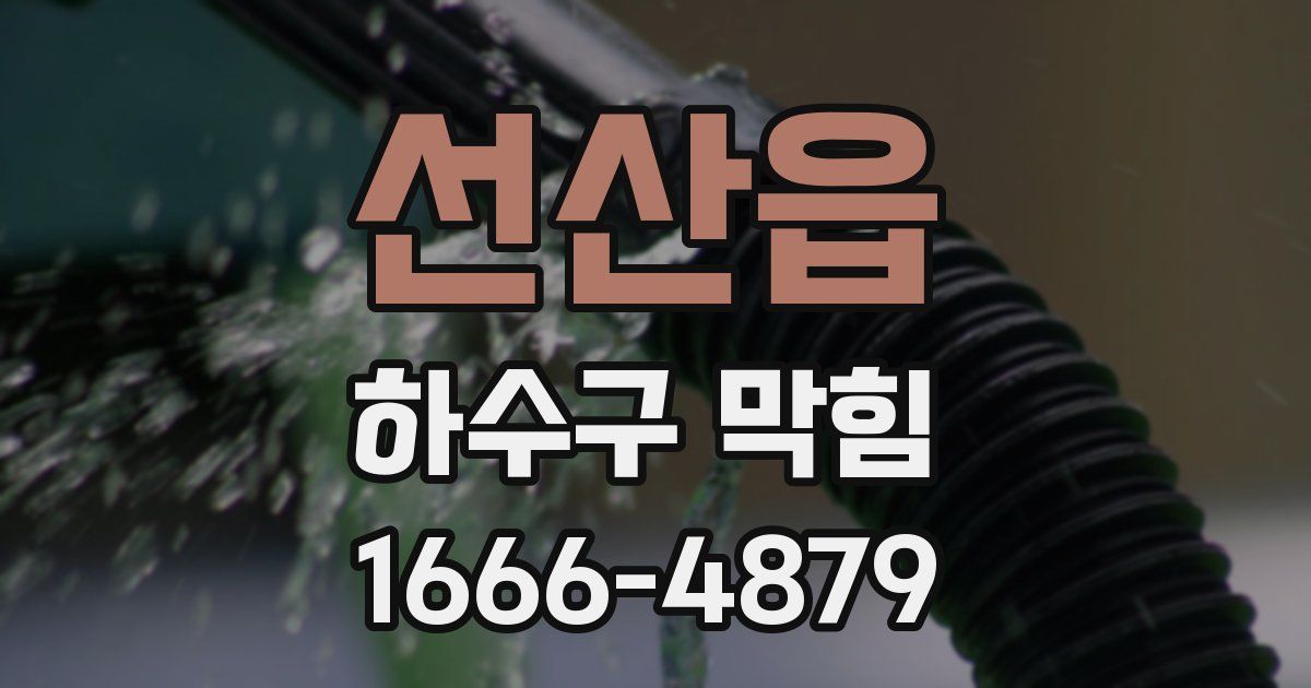선산읍 하수구 막힘