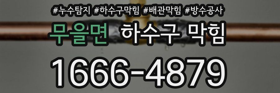 무을면 하수구 막힘
