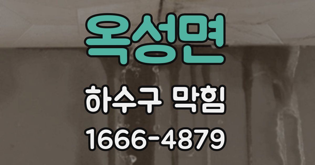 옥성면 하수구 막힘