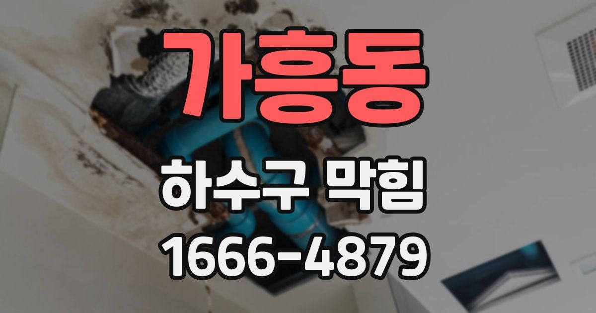 가흥동 하수구 막힘