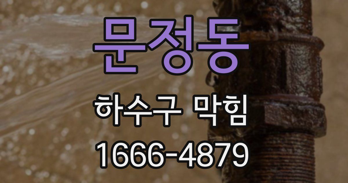 문정동 하수구 막힘