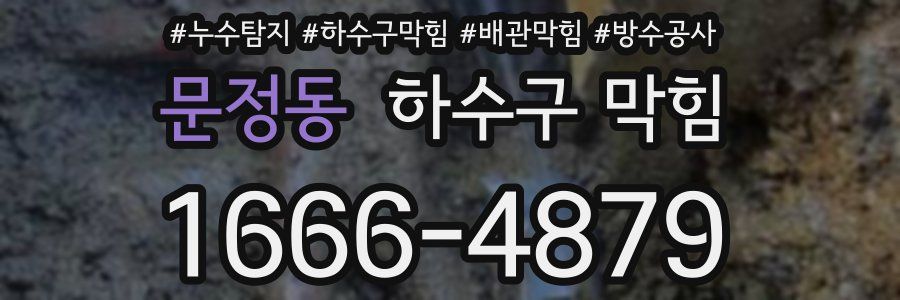 문정동 하수구 막힘