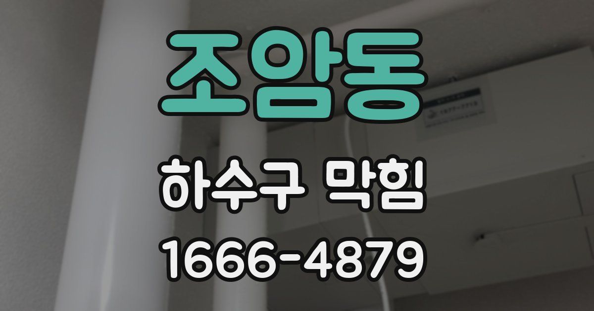 조암동 하수구 막힘