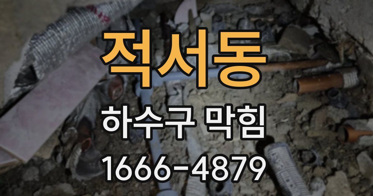 적서동 하수구 막힘
