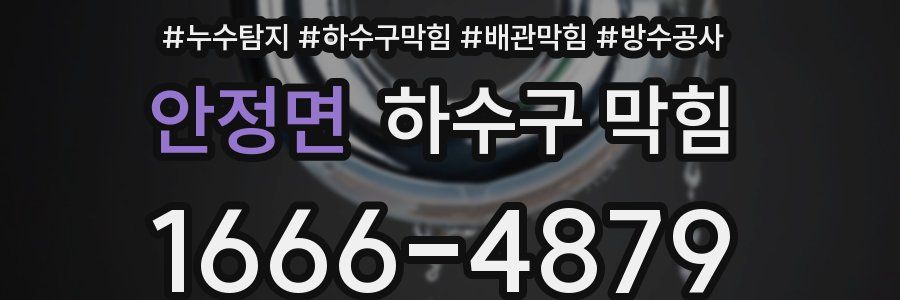 안정면 하수구 막힘