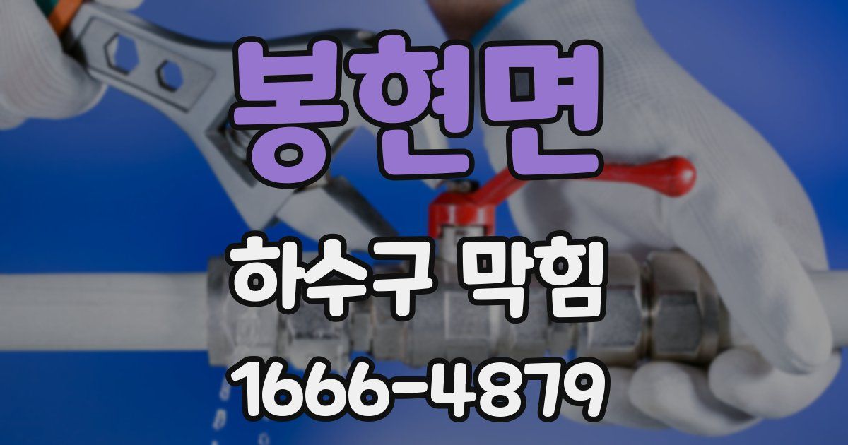 봉현면 하수구 막힘