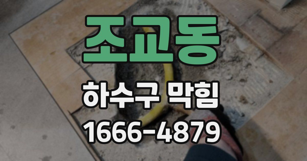 조교동 하수구 막힘