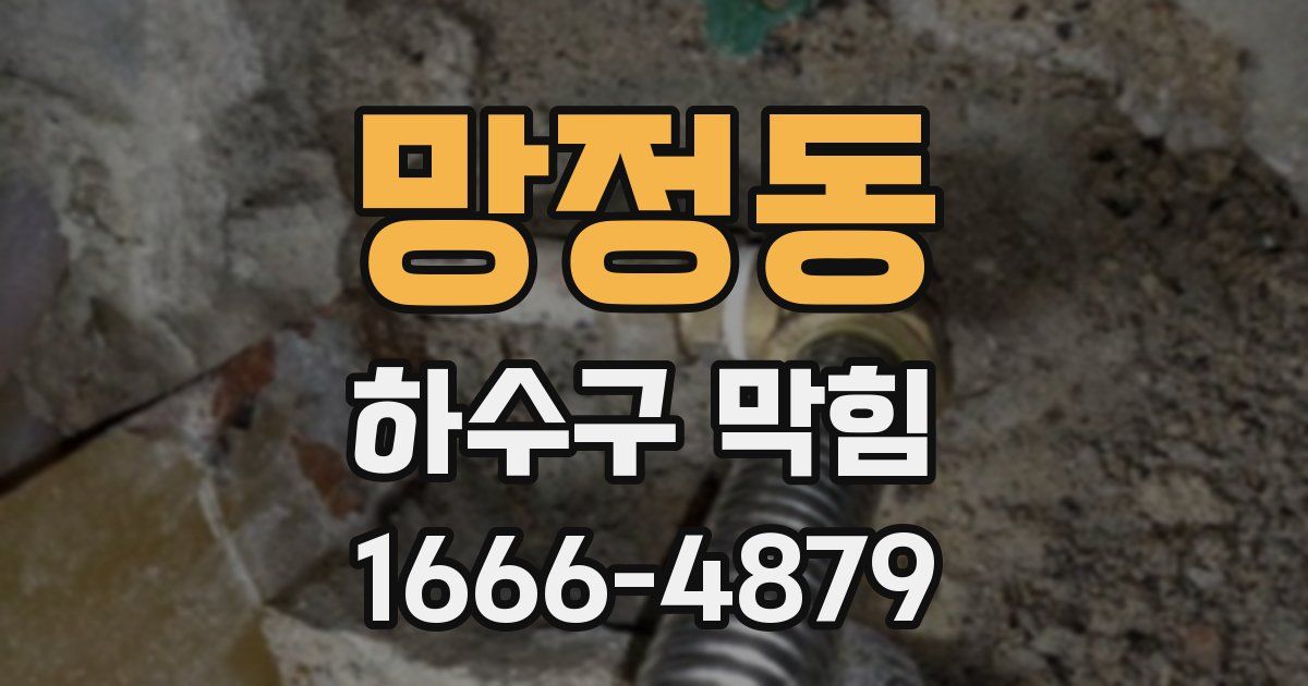 망정동 하수구 막힘