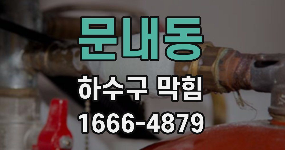 문내동 하수구 막힘