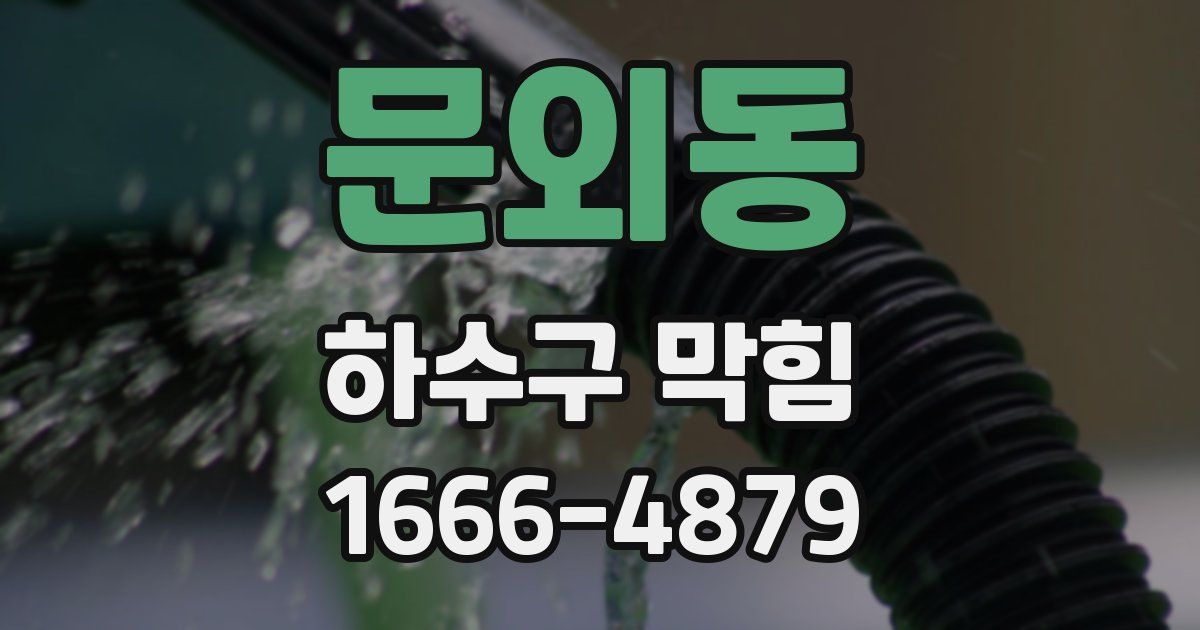 문외동 하수구 막힘