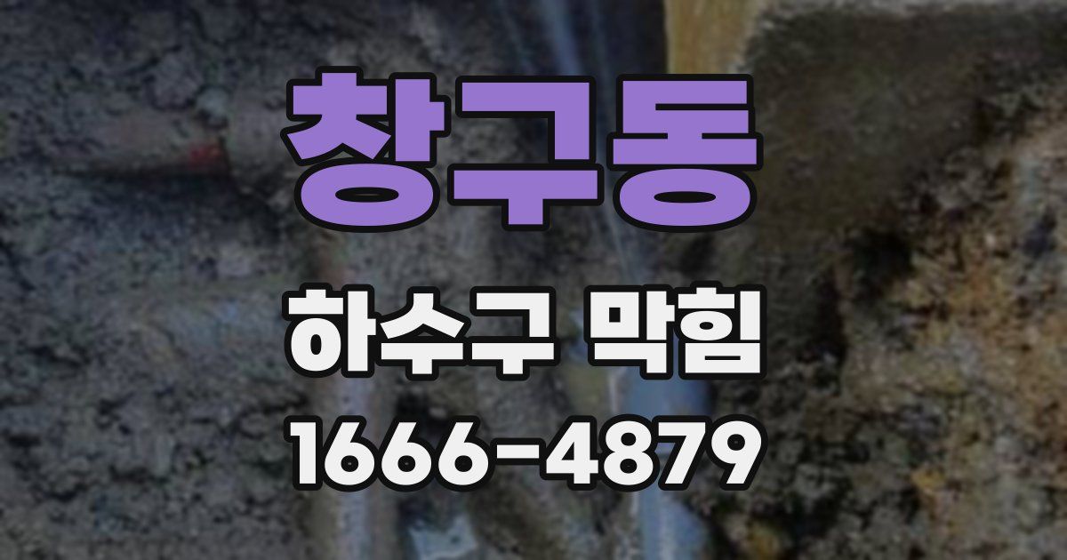 창구동 하수구 막힘