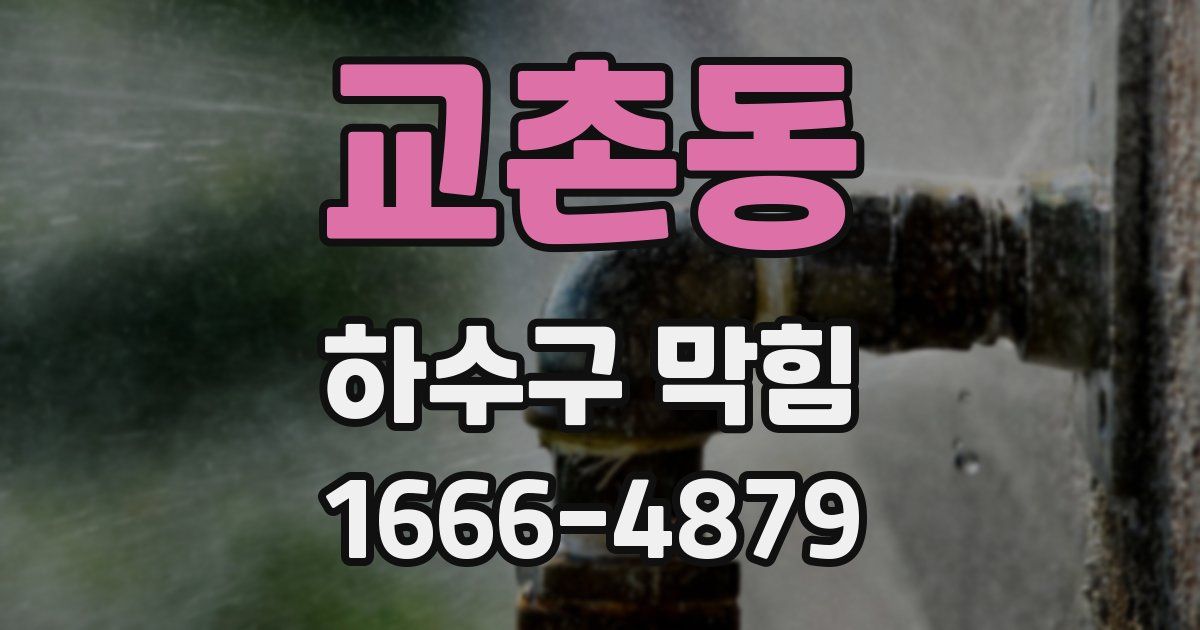 교촌동 하수구 막힘