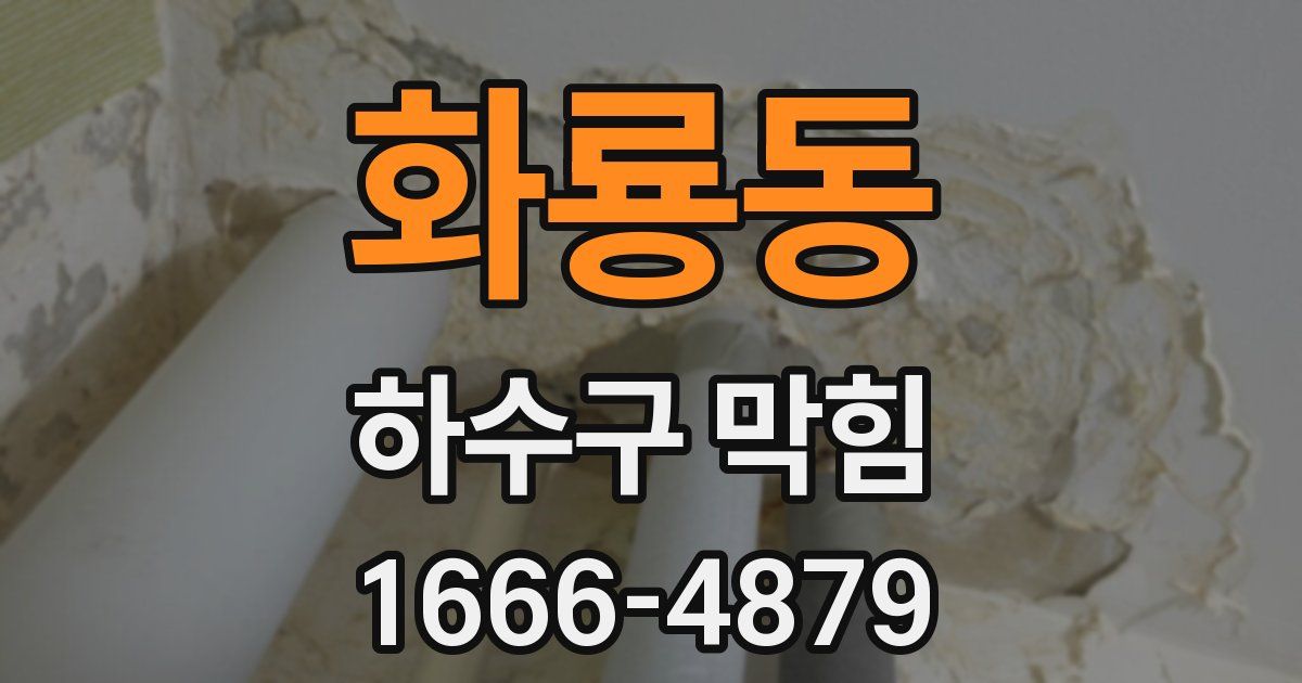 화룡동 하수구 막힘