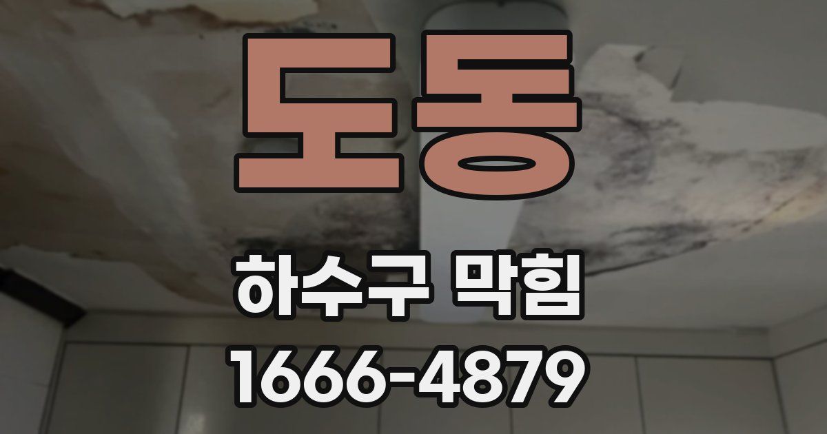 도동 하수구 막힘