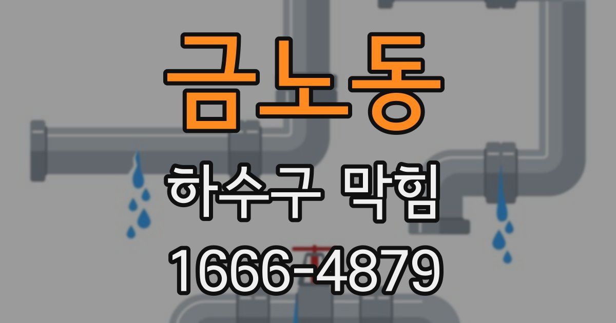 금노동 하수구 막힘