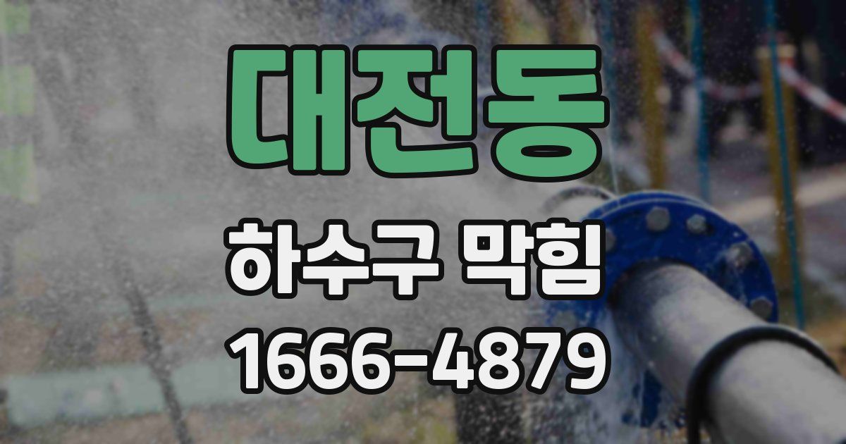 대전동 하수구 막힘