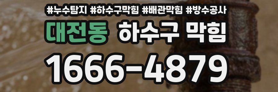 대전동 하수구 막힘