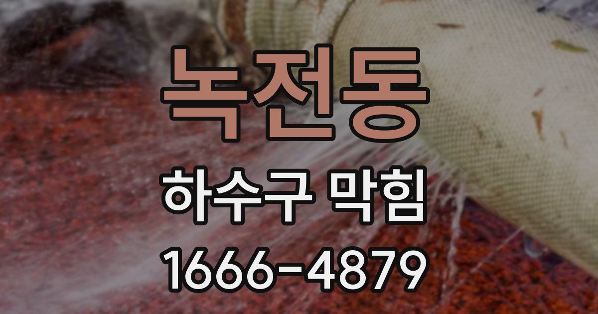 녹전동 하수구 막힘