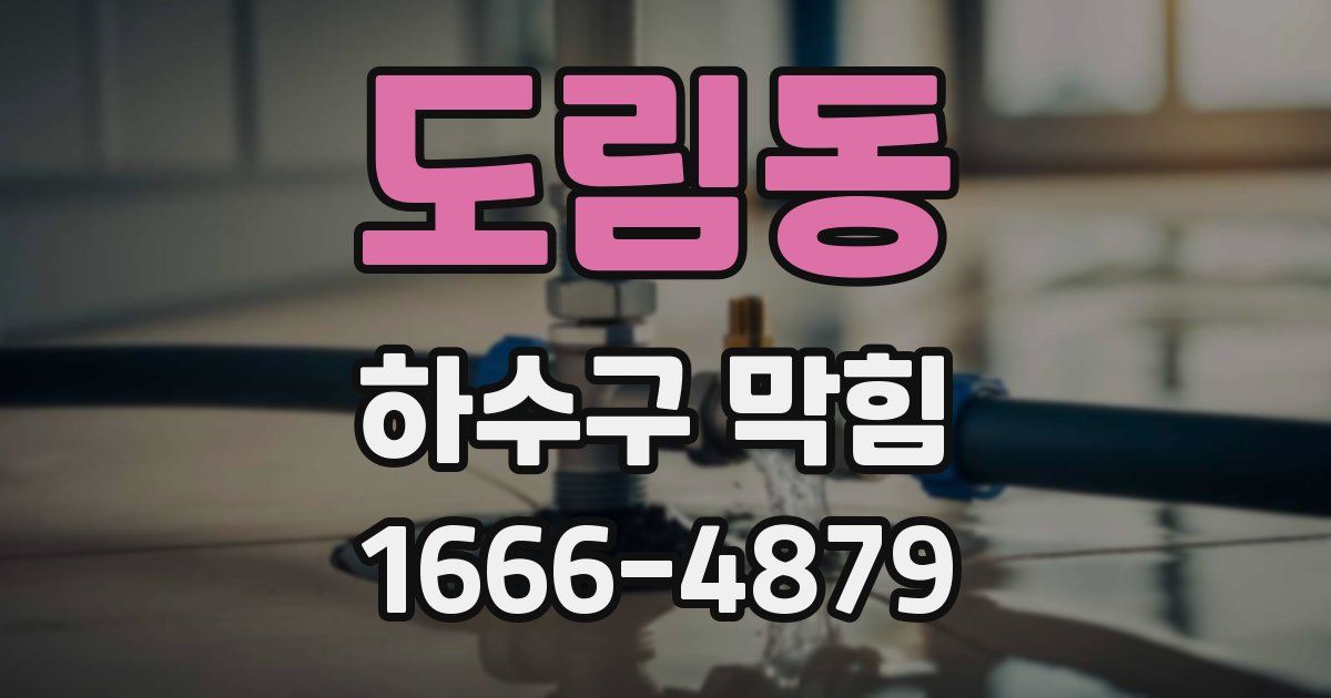 도림동 하수구 막힘