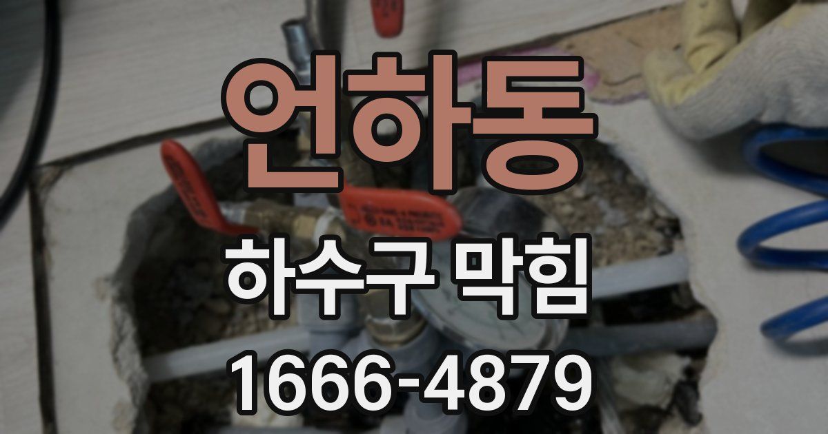 언하동 하수구 막힘