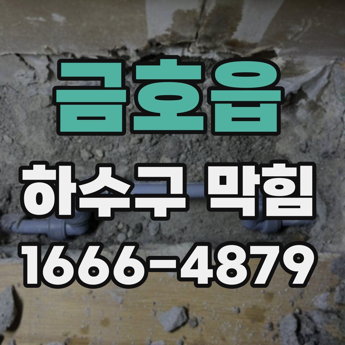 금호읍 하수구 막힘