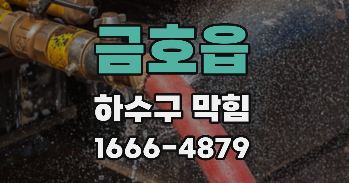 금호읍 하수구 막힘