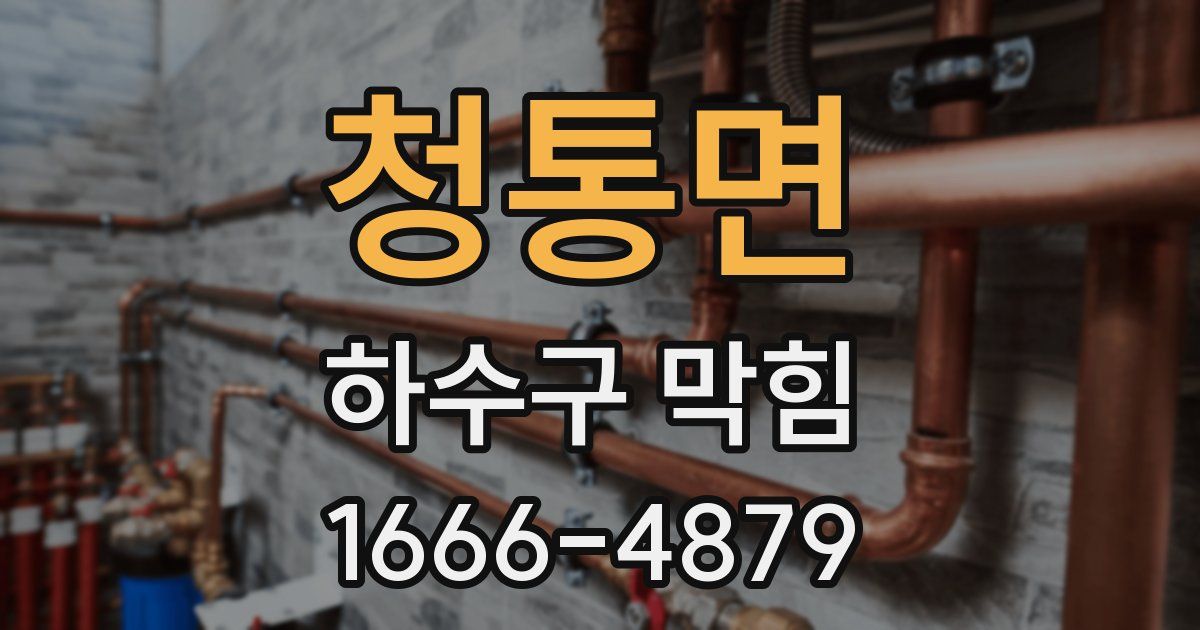 청통면 하수구 막힘