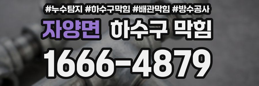 자양면 하수구 막힘