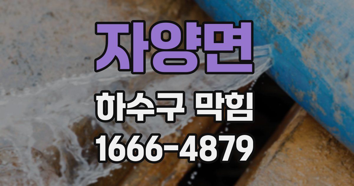 자양면 하수구 막힘