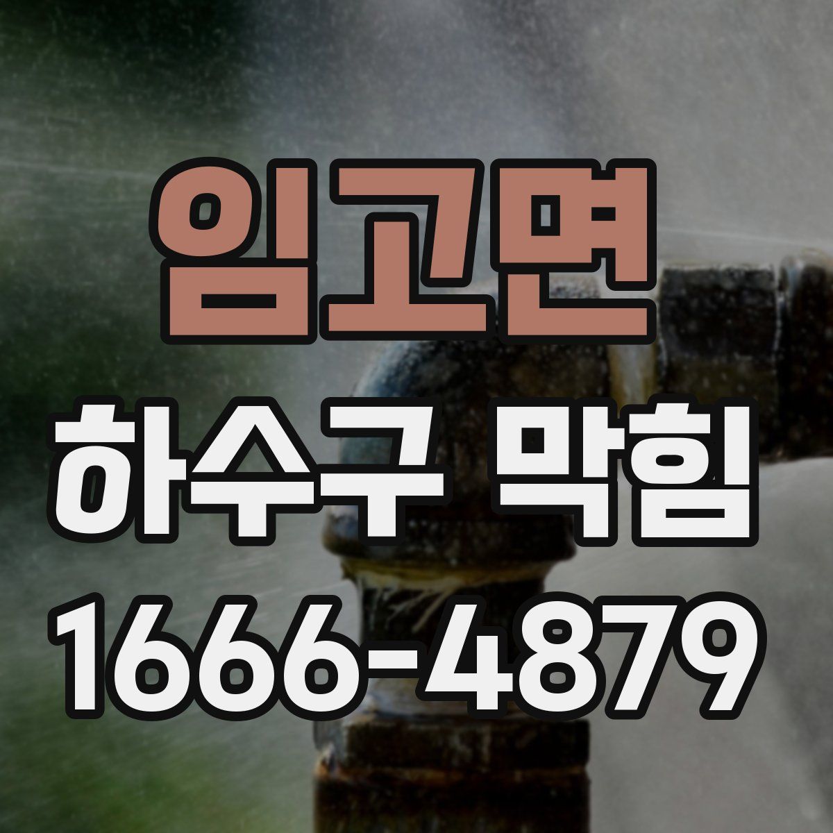 임고면 하수구 막힘