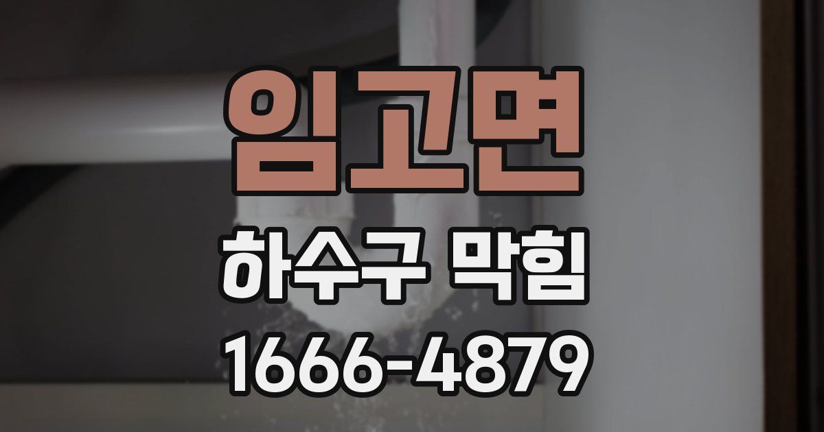 임고면 하수구 막힘