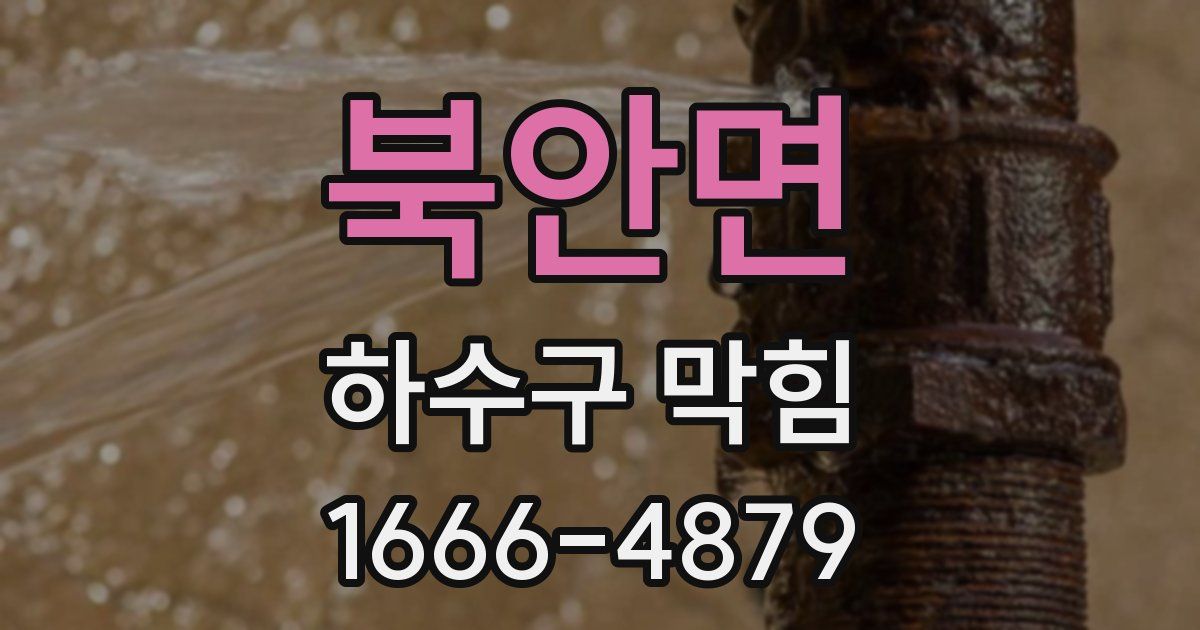 북안면 하수구 막힘