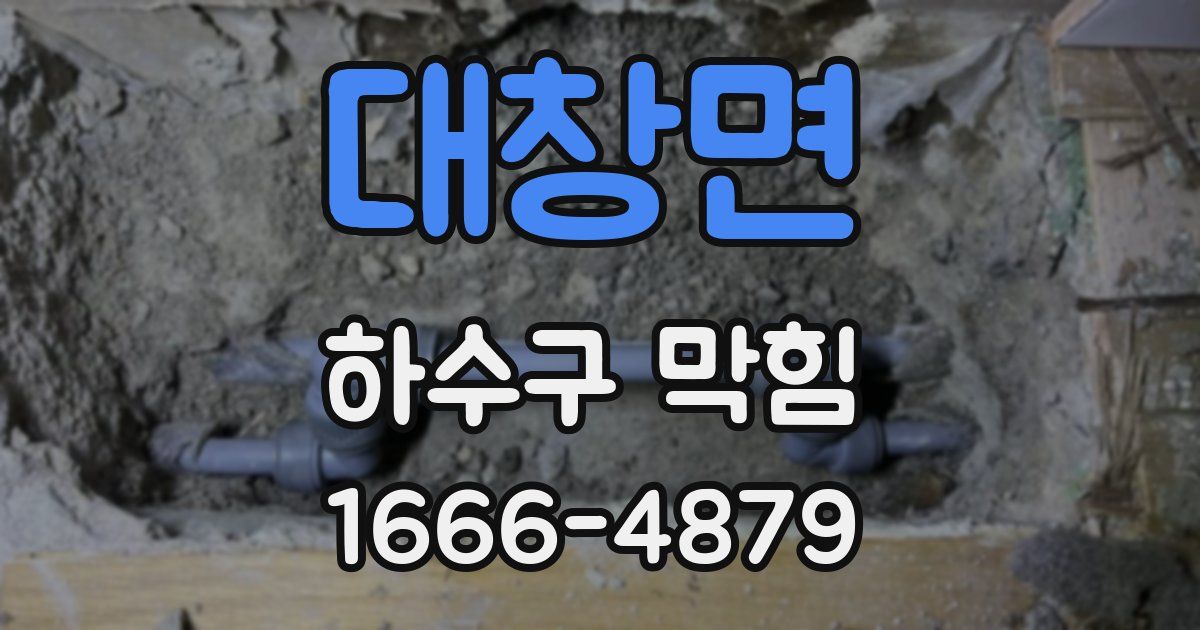 대창면 하수구 막힘